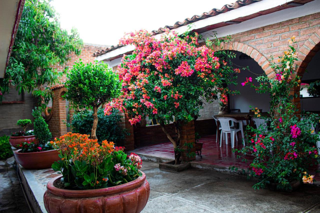 Villa Flores, Casa En El Centro De Mascota Exterior foto